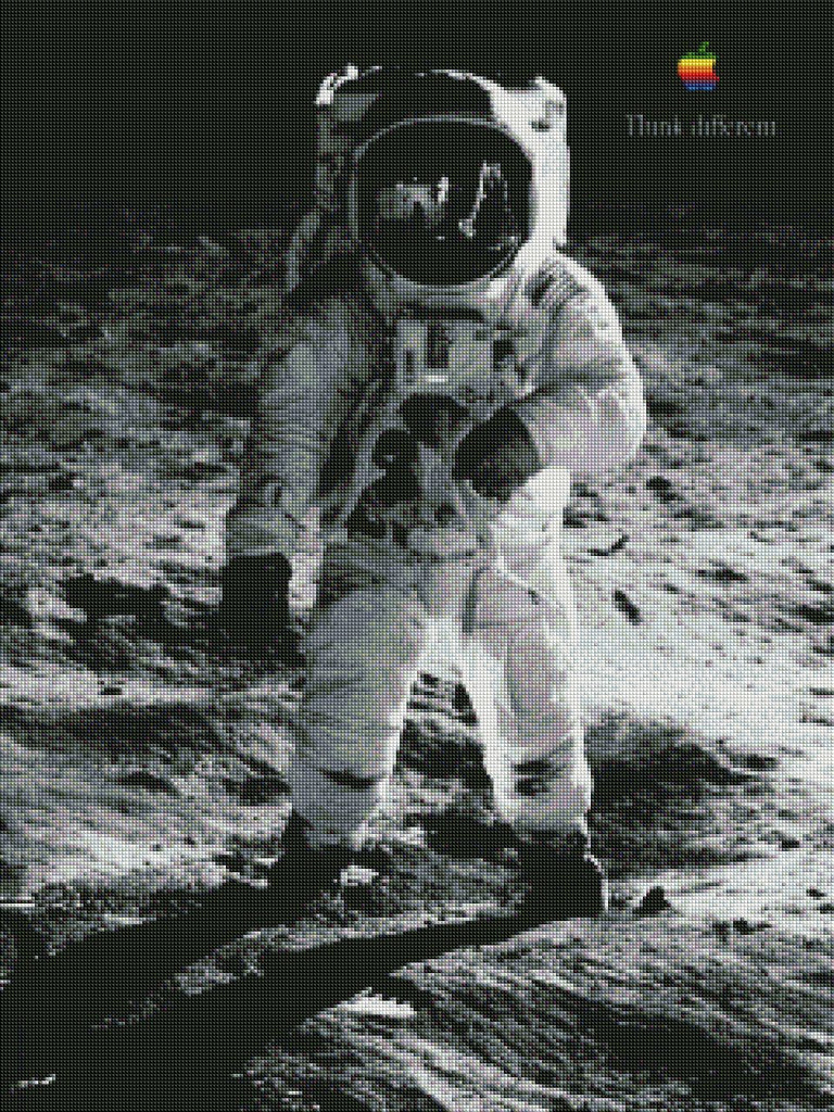 3.2 DIY Buzz Aldrin Think Different poster_diamond painting kit