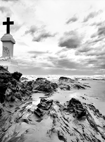 Covidscapades Veni Covidi Vici photo art print