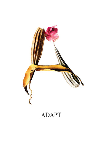 Nature Font: letter 'A' inspirational typography poster