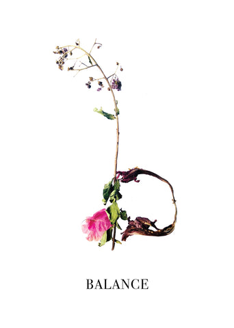 Nature Font: letter 'B' inspirational typography poster