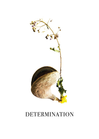 Nature Font: letter 'D' inspirational typography poster
