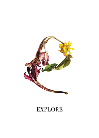 Nature Font: letter 'E' inspirational typography poster