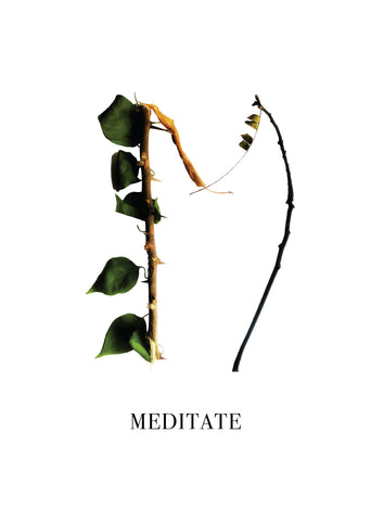 Nature Font: letter 'M' inspirational typography poster