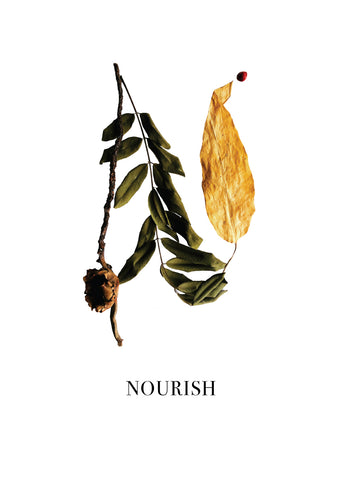 Nature Font: letter 'N' inspirational typography poster