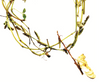 Nature Font: letter 'Q' inspirational typography poster