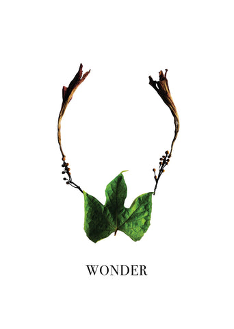 Nature Font: letter 'W' inspirational typography poster